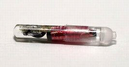 VeriChip Required for Job at CityWatcher