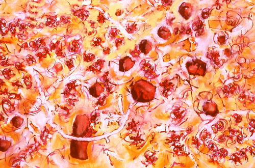 In Memoriam -- Dr. Eugene F. Mallove